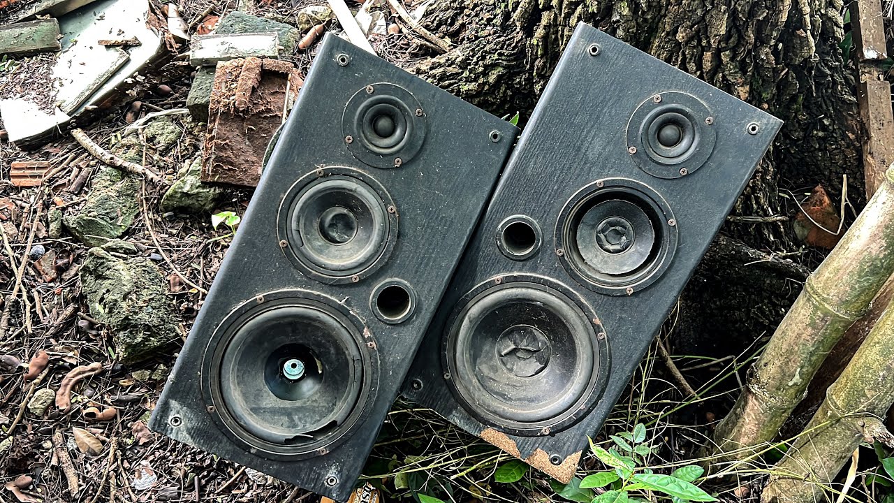 Restoration Speaker 3 Way // Restoring A Pair Of Speakers From ten Years Ago