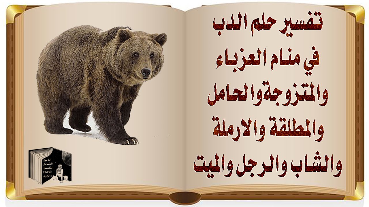 تفسير حلم الدب متى يدل على القوة ومتى يدل على الحسد والحقد