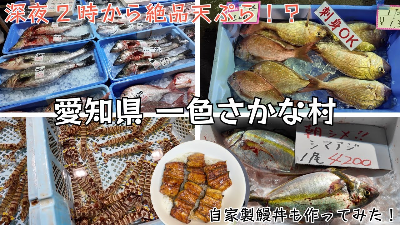 【激安】愛知県最強の市場『三河一色さかな村』で購入した食材を使って絶品料理を作ってみた！2025年12月#一色さかな村#激安 #世界一