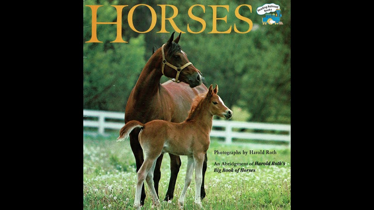 Kids Book Read Aloud: Horses by Margo Lundell, Photos by Harold Roth, Abridgment by Laura Driscoll