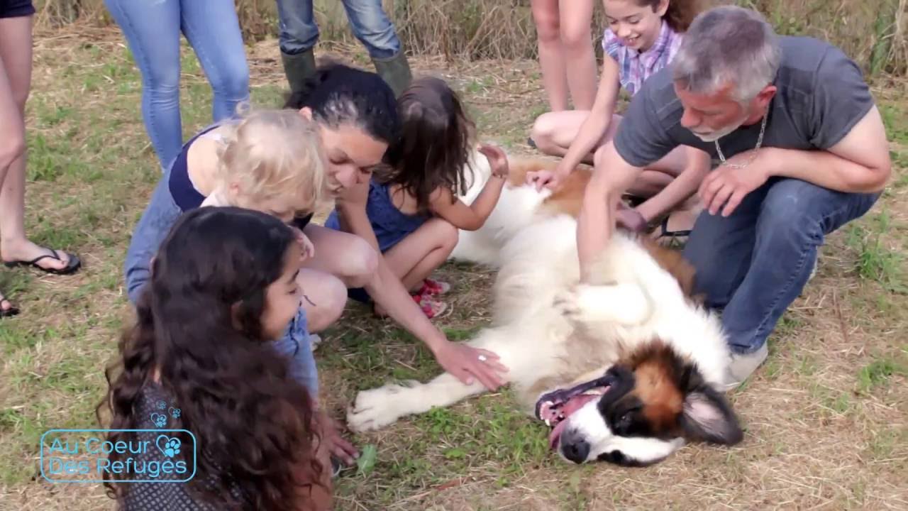 AU COEUR DES REFUGES [S01/E03] - 60 Kg d'amour