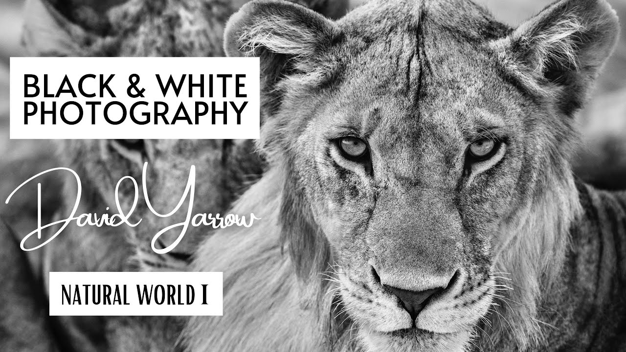 Black and White Photography 