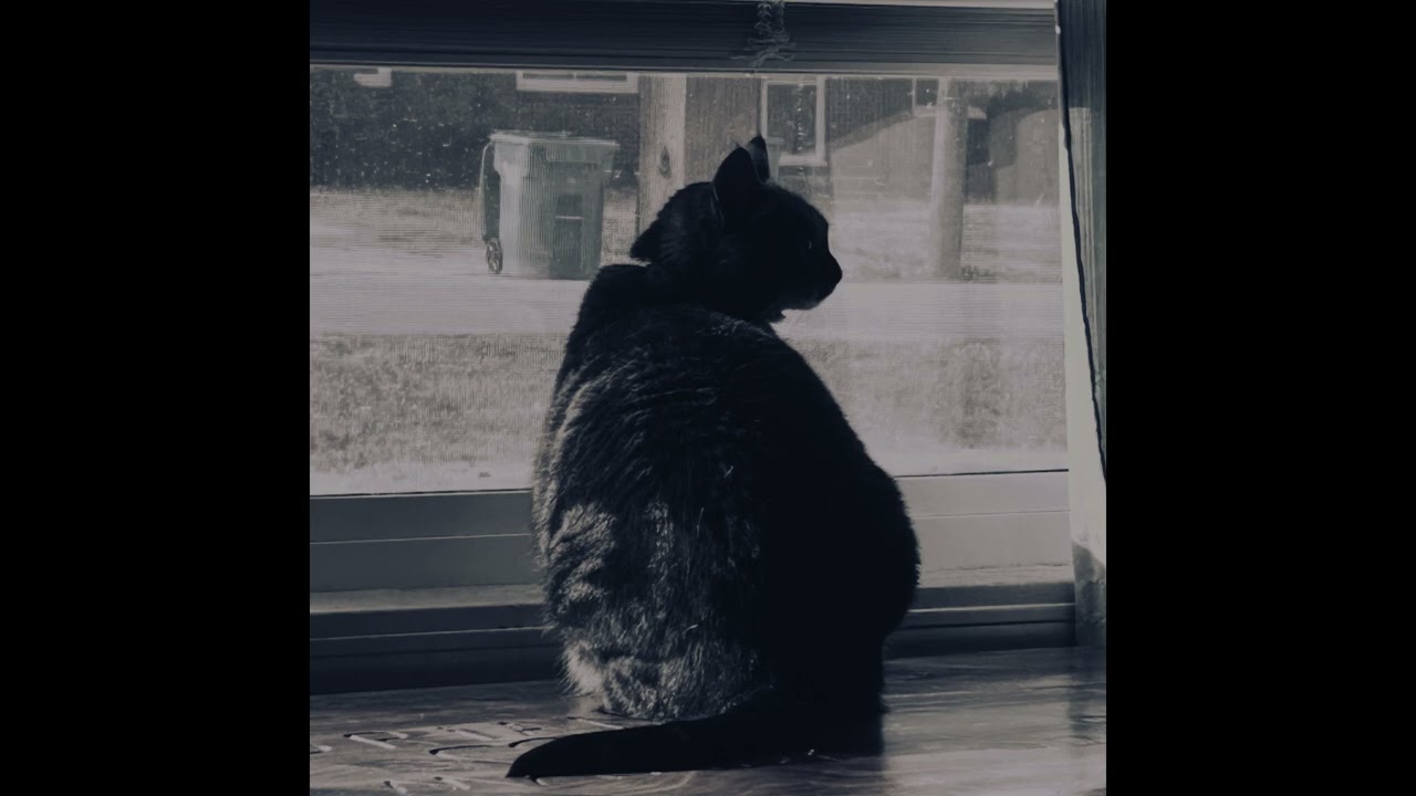 Derrek Cunningham - CATS