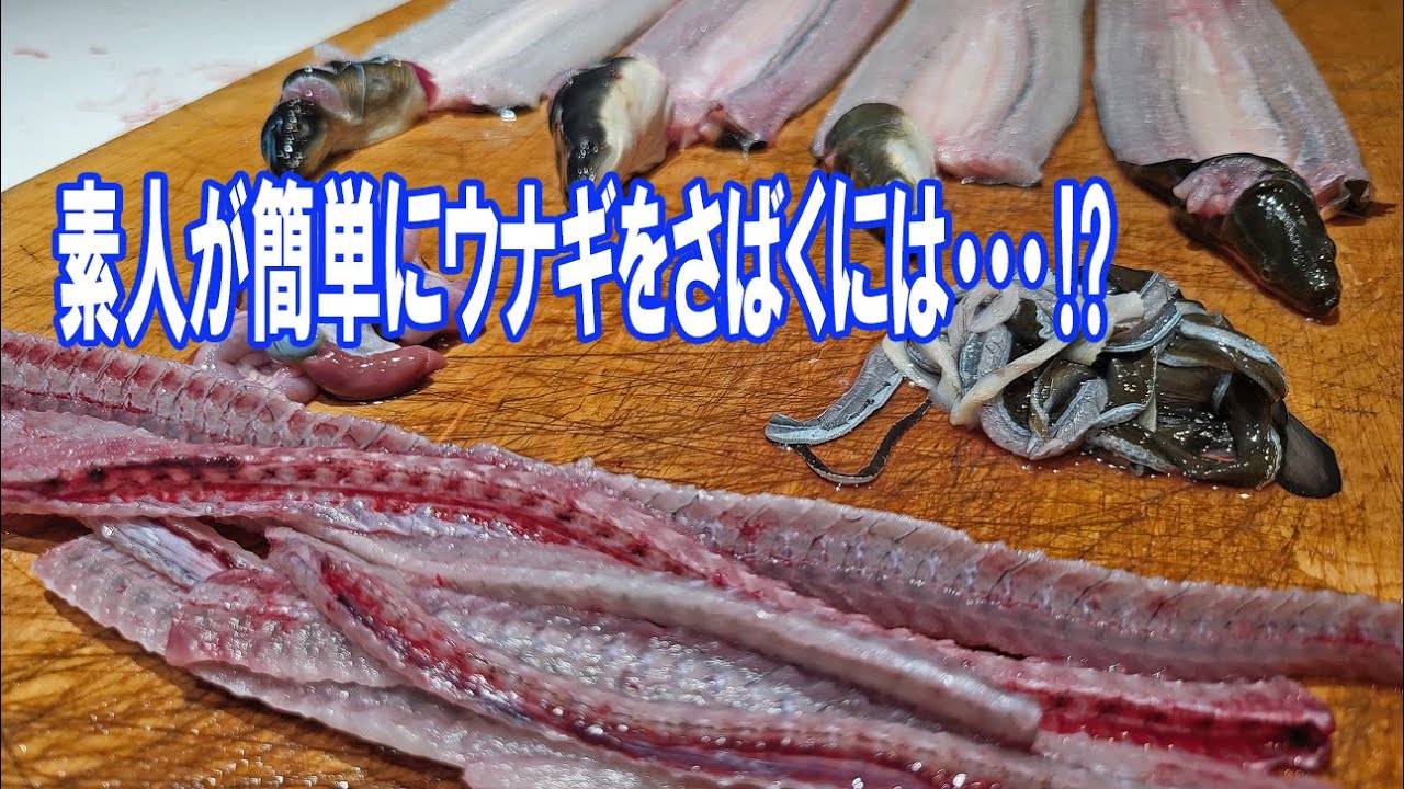 この方法なら簡単にウナギが捌けます!!!　　釣ったウナギの捌き方　【うなぎ捌き】
