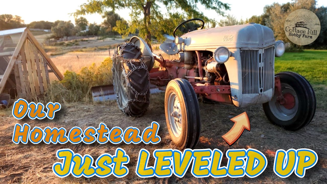 Classic Ford 8n Tractor | Huge Addition to Our Farm | First Look Plus Oil Change