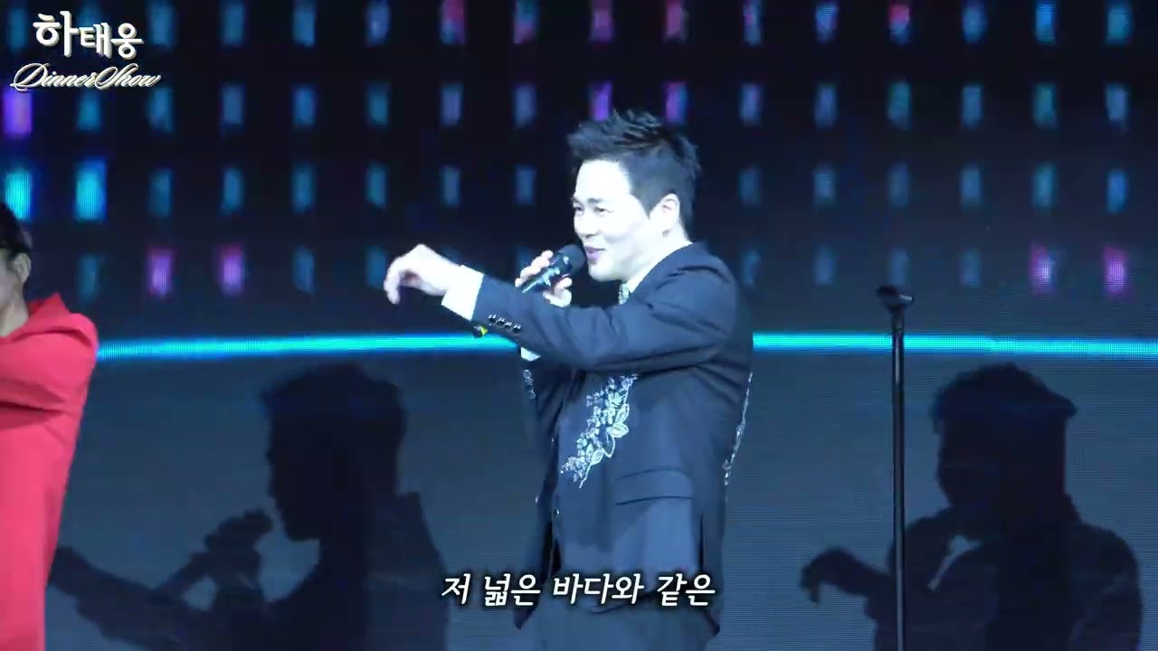 2025 하태웅 디너쇼  영상