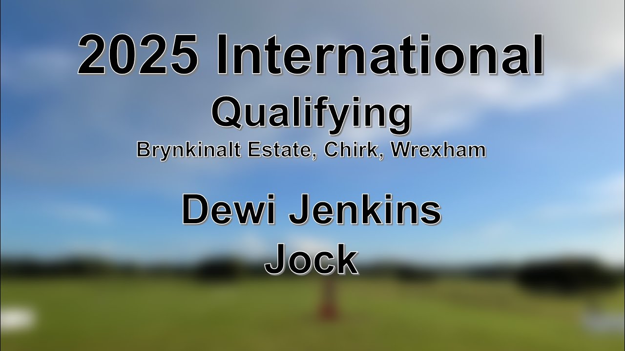 Dewi Jenkins - Jock - Qualifying 2025 International Sheep Dog Trials