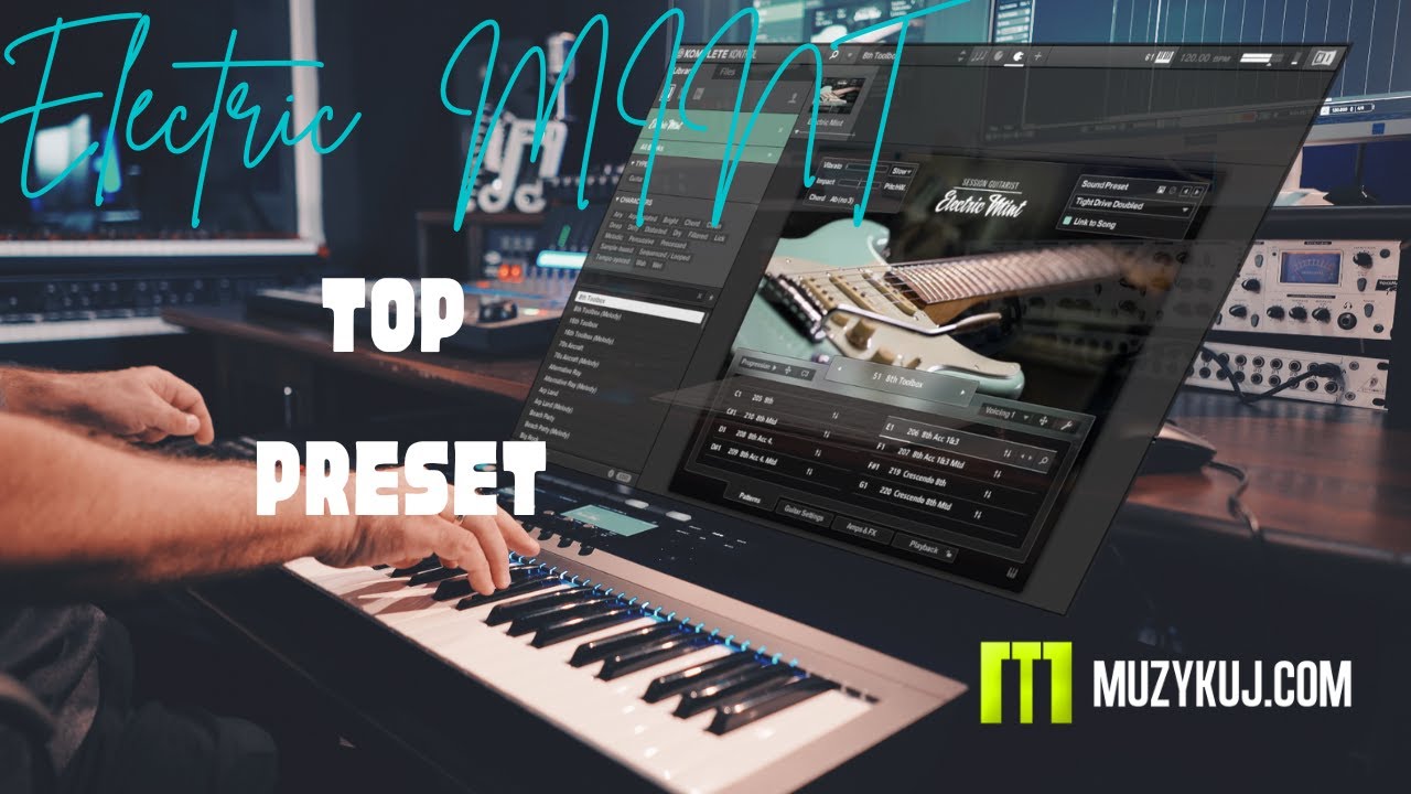 NATIVE INSTRUMENTS  ELECTRIC MINT