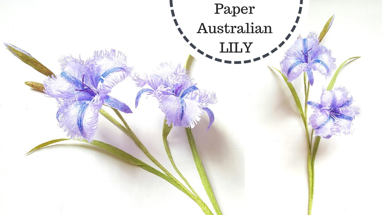 Crepe paper flowers, How to make paper Australian lily flower (Fringed Lily) from crepe paper