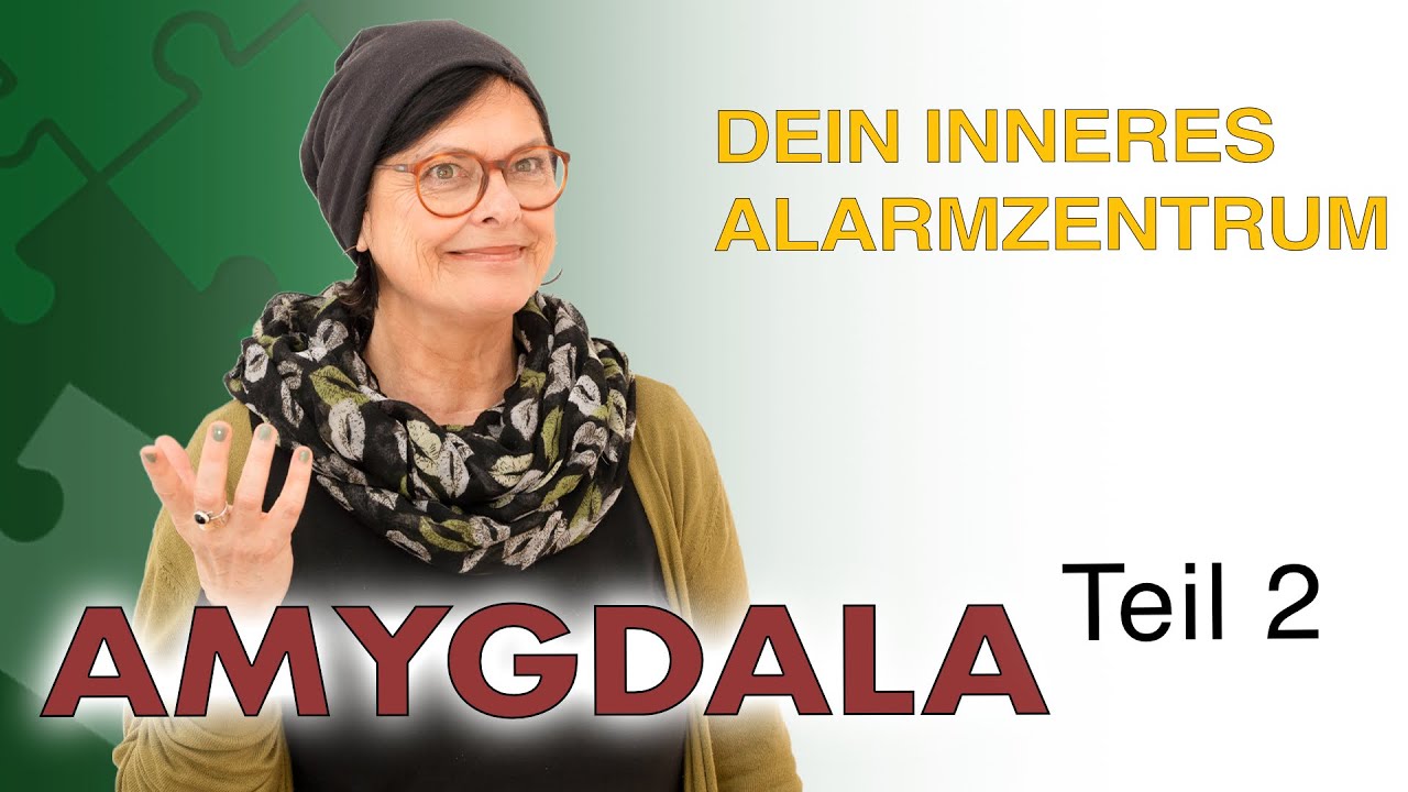 Teil 2: Amygdala & Innere Anteile: Was kann ich tun?