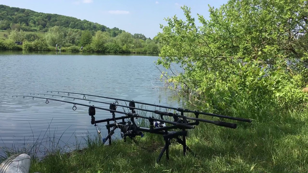 Samedi relax 🎣