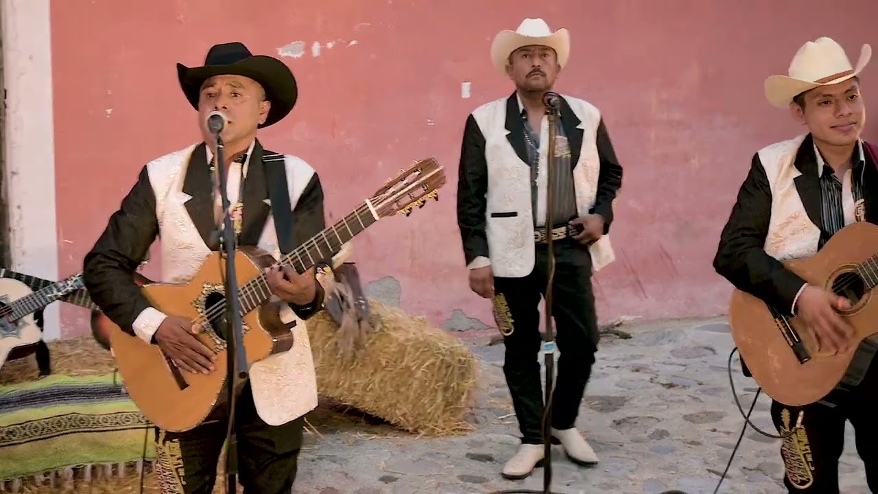Carlos Benitez y sus Jefes de la Sierra- Cuéntame todas tus Penas (Video)