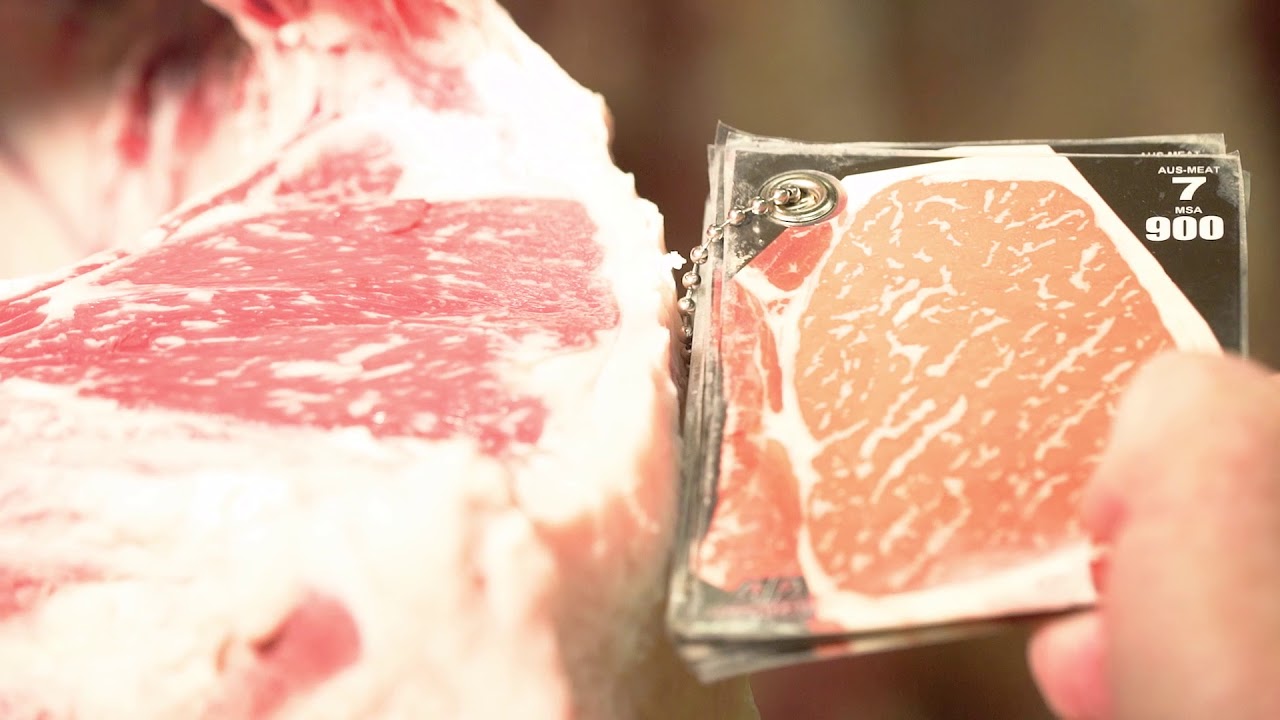 [TAJIMA] How the Tajima Wagyu has been rising and slaughted?