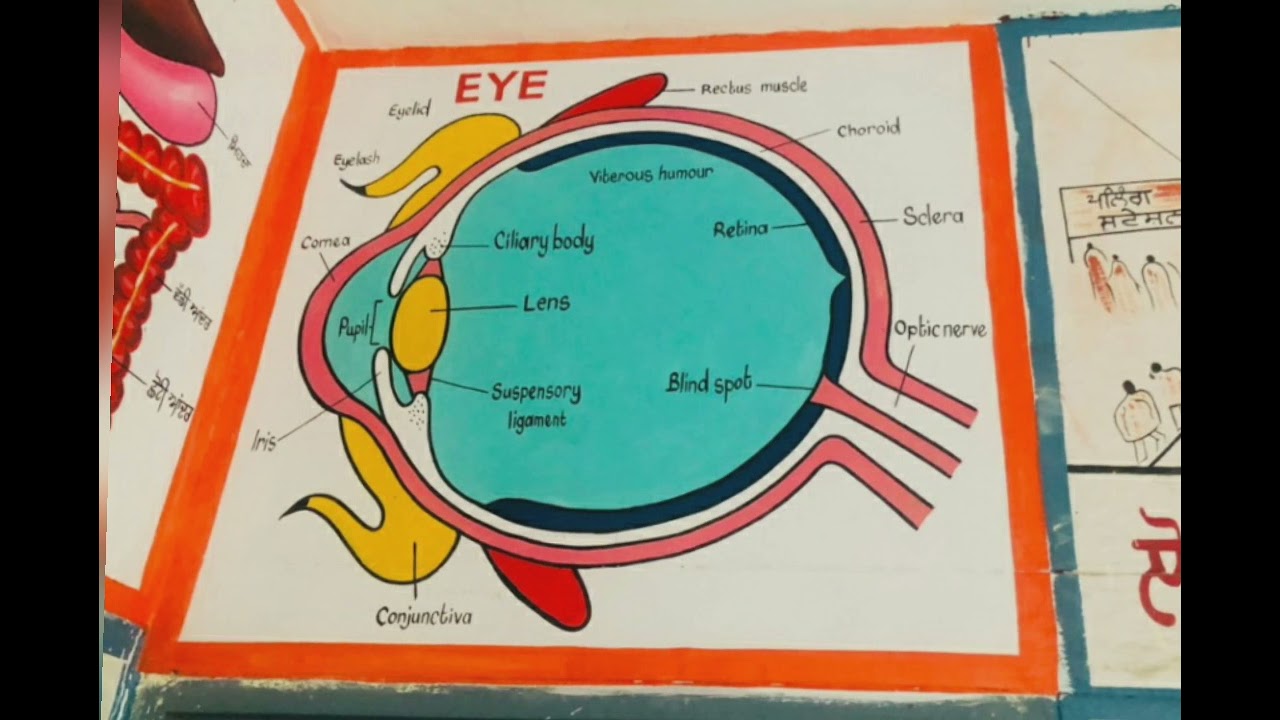 Science Bala work | Science Lab | Prime Pedia