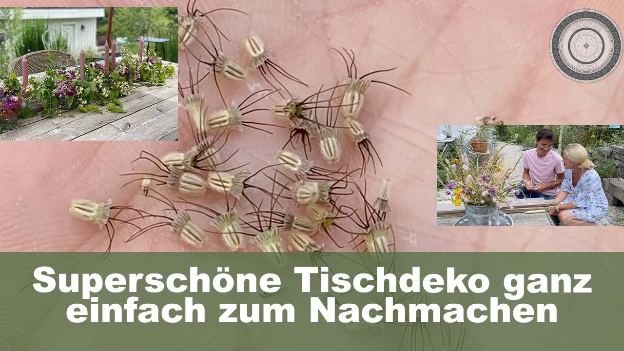 Samenerte - WANN, Lagerung und Keimfähigkeit, DIY Tischdeko wunderschön für Hochzeit, Geburtstag..