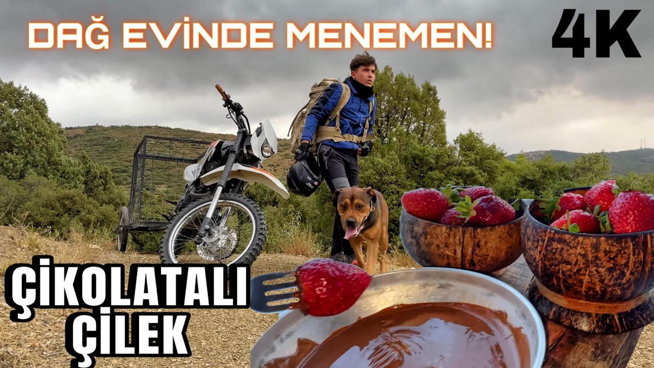 Yiyeceğin serüveni! Bahçeden topladığım sebzeler ile Dağ evinde Menemen yaptım!