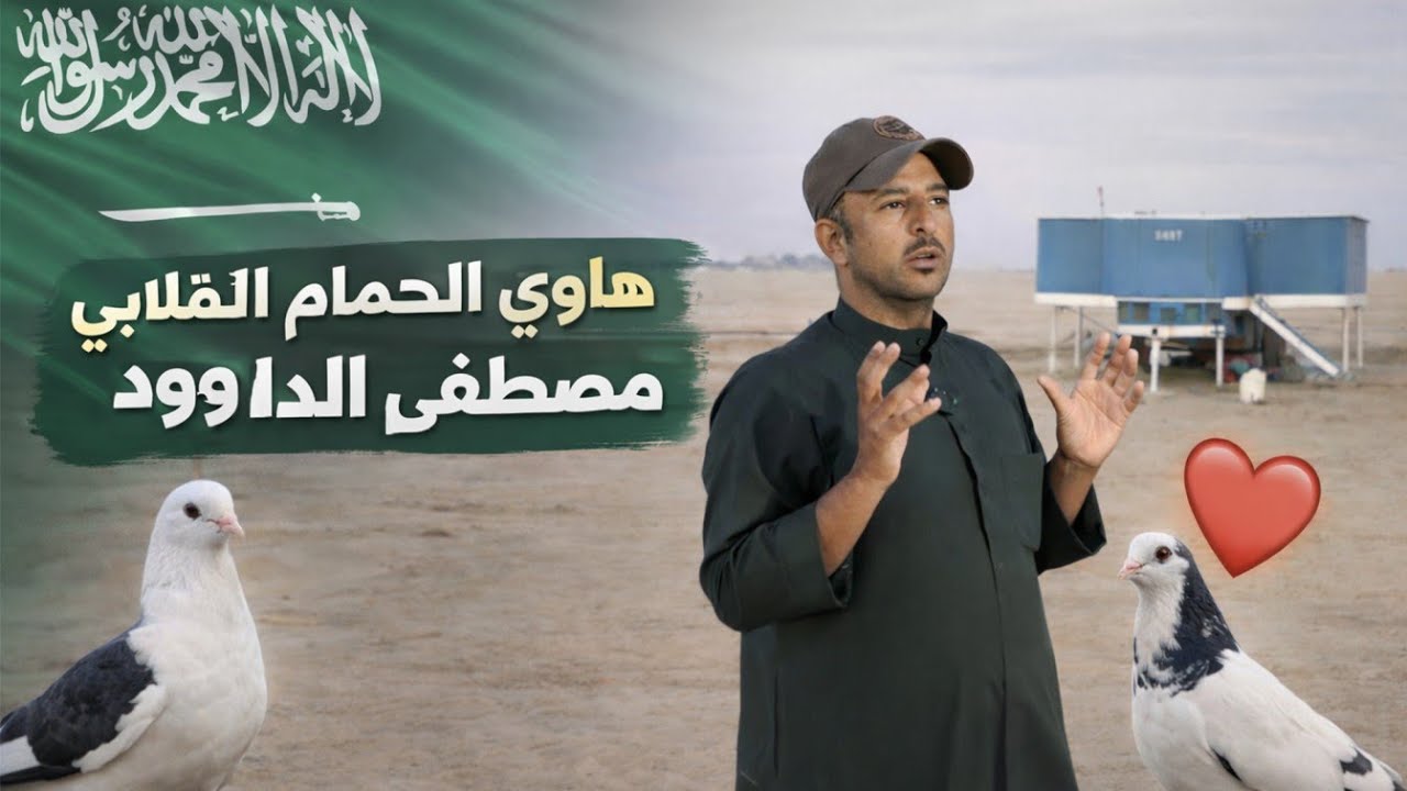 هاوي الحمام القلابي السعودي مصطفى الداوود