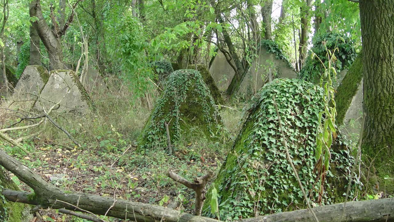Siegfried line  H&ouml;ckerlinie