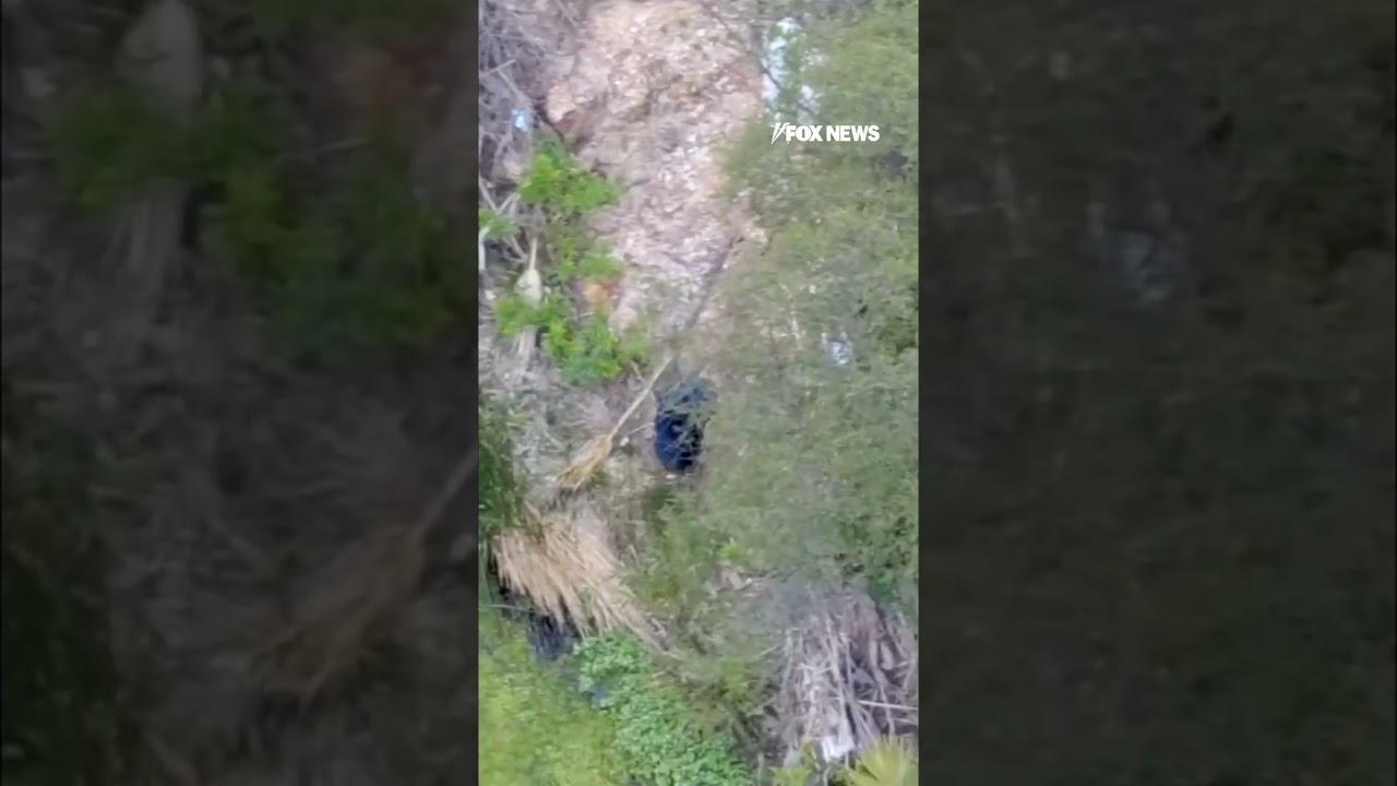 Drone shows arson suspect in California fire