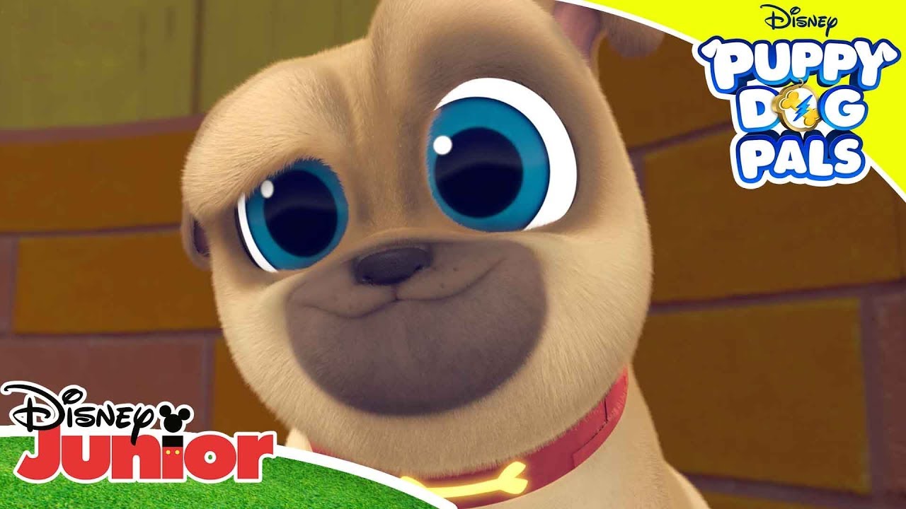 Playtime with Puppy Dog Pals: Don't Blink! 👀| Puppy Dog Pals | Disney Channel Africa