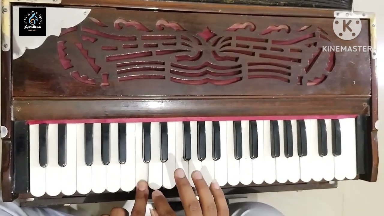 કાળા-સફેદ્ સ્વર પરિચય,What is a black and white key?Harmoniyam learning Series,Aaradhna music,Halvad