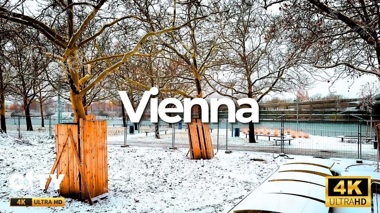 Snow in Vienna | 4K Walk tour in Vienna | January 2025