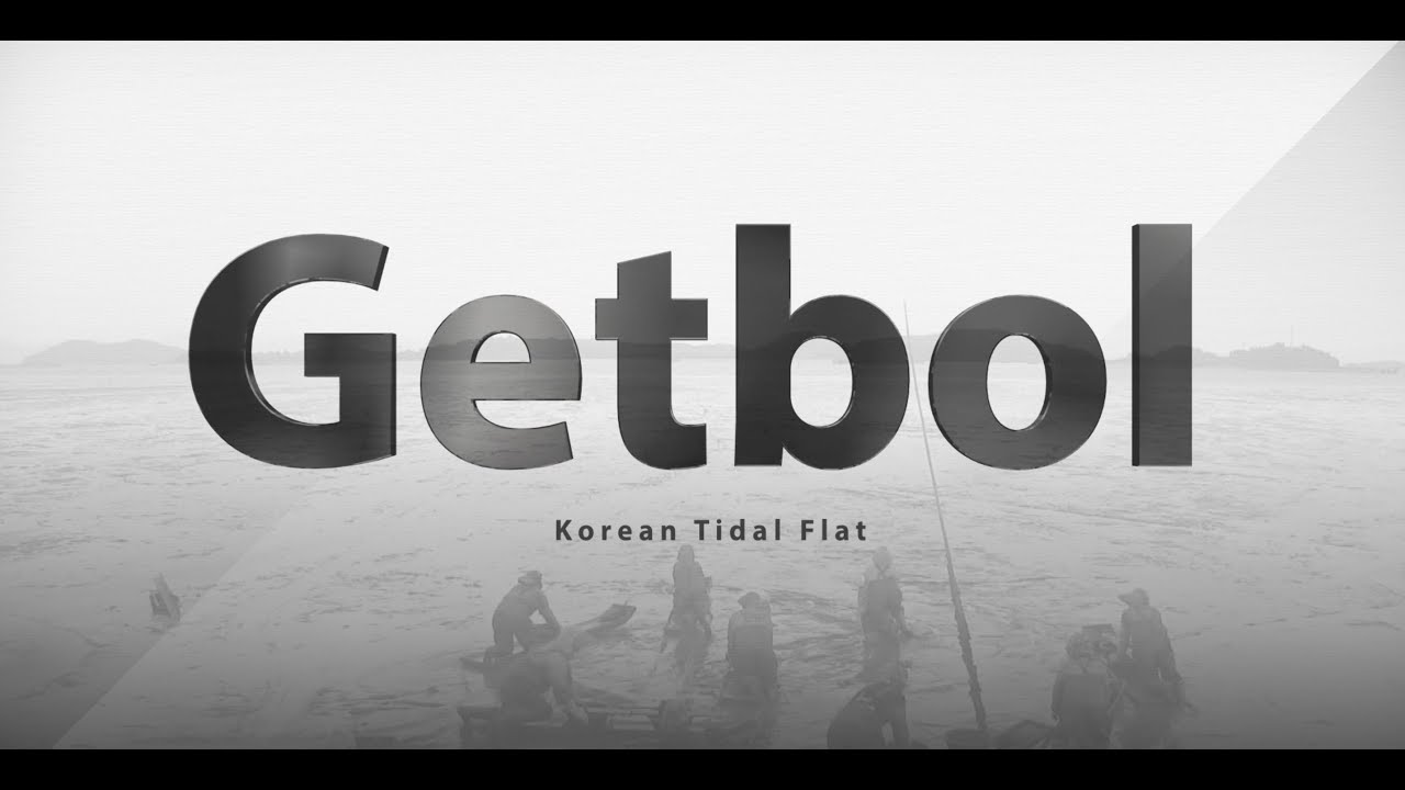 우리나라 15번째 세계유산 - 한국의 갯벌