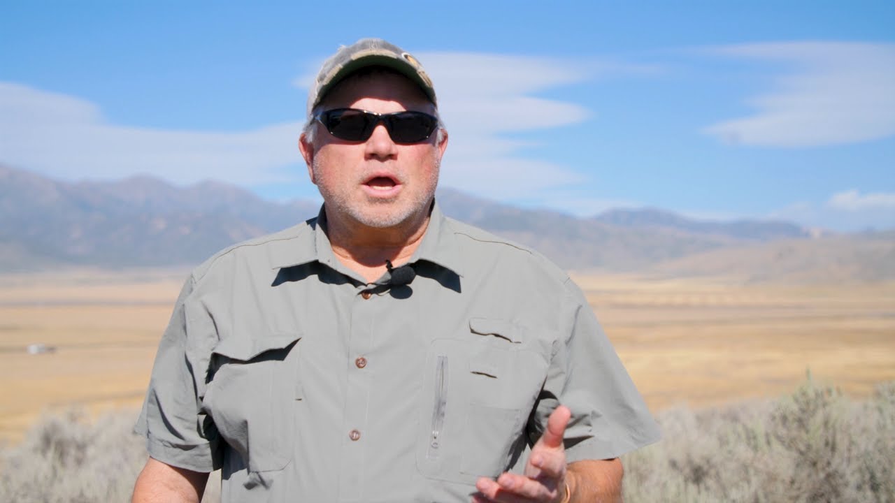 Living with Wildlife | Pronghorn Antelopes
