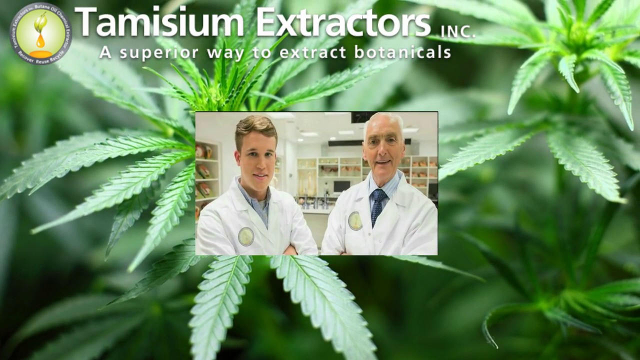 Cannabis Oil Extraction