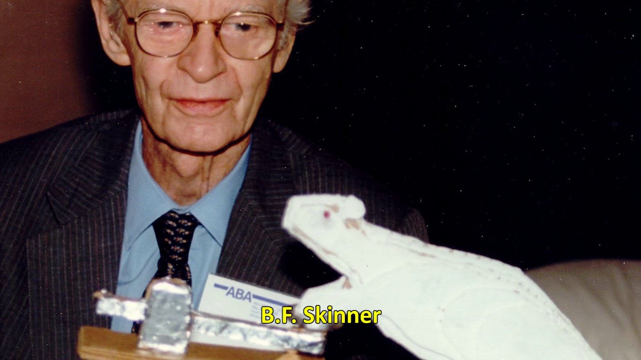 2  Operant conditioning & its implications