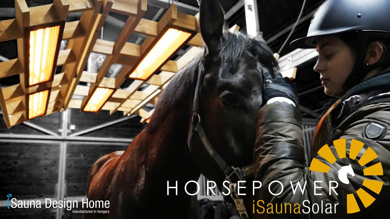 horse solarium - Innovative infrared solarium for the protection of horses