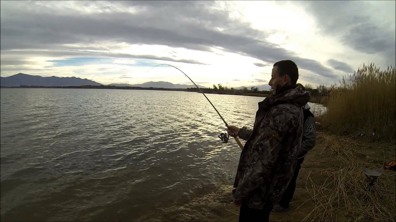 GROSSE CARPE LAC DE VILLENEUVE DE LA RAHO  HD!