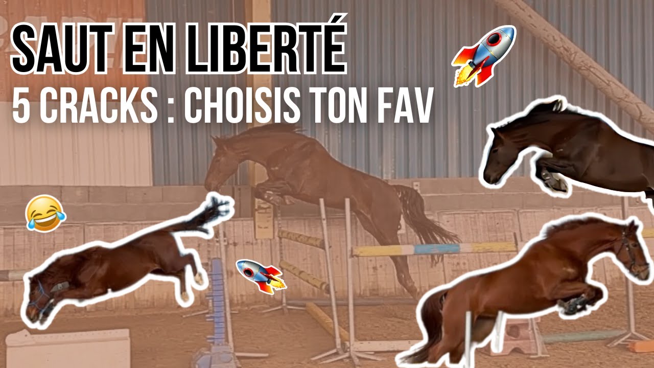 SAUT EN LIBERTÉ - 5 cracks au centre ! Choisis ton fav