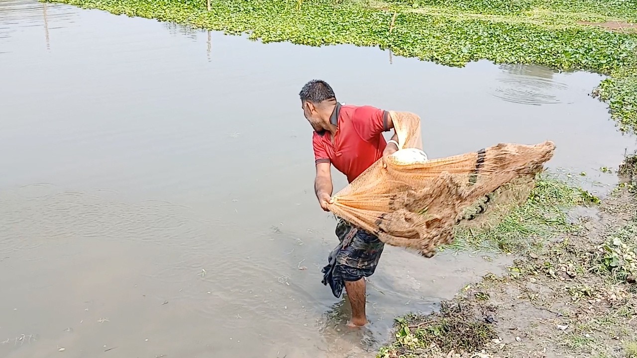 Amazing Cast Net Fishing By Village - Fishing Videos 2026 - Best River Fishing Video