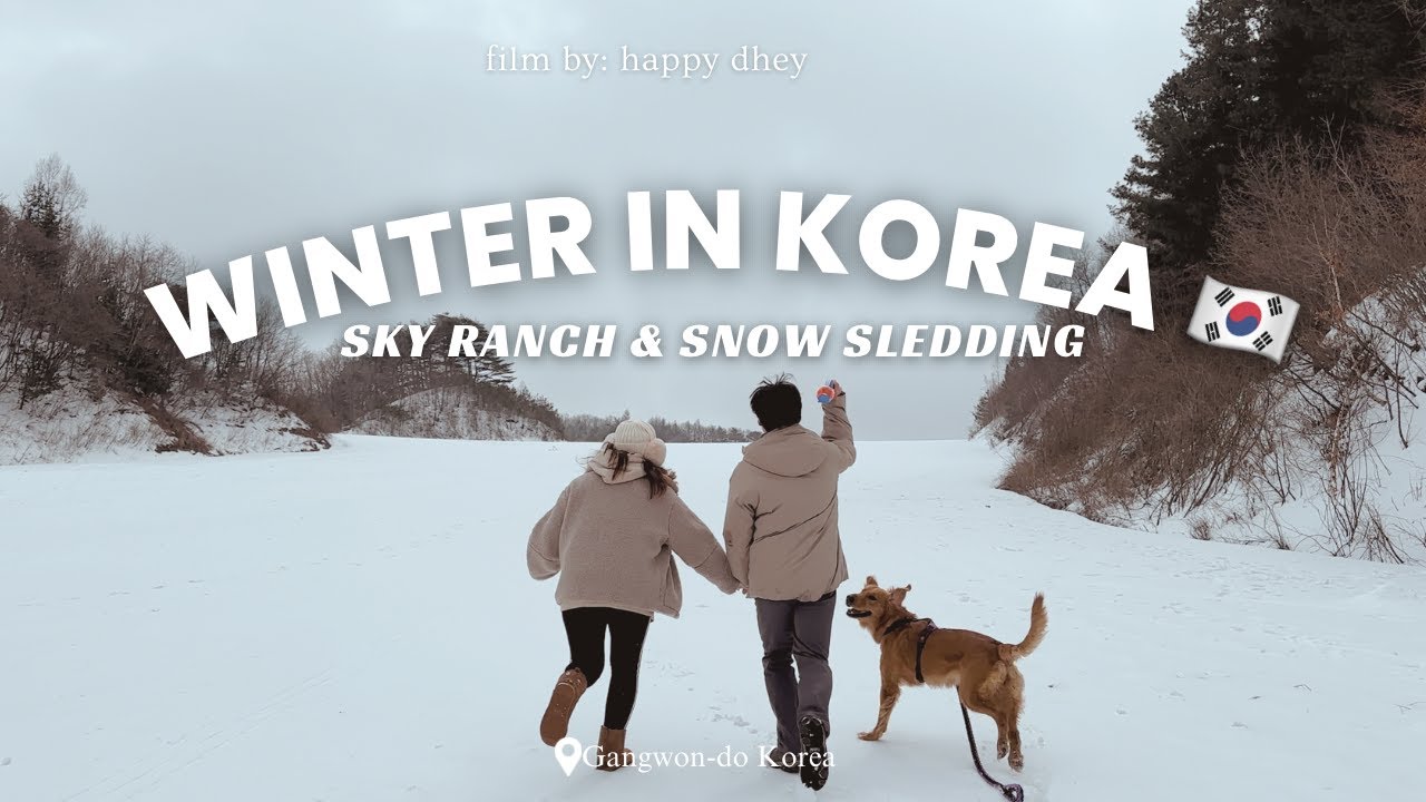 Korea Vlog | ❄️ Winter in Gangwon-do, Sky Ranch + Snow Sledding with our BIG DOG 🐶