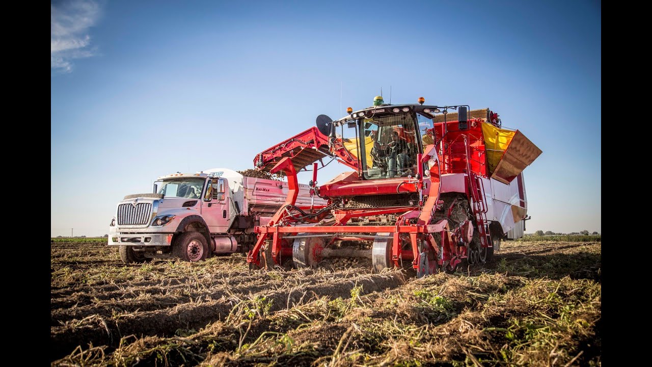 Grimme Tectron 415 in Idaho harvesting Potatoes