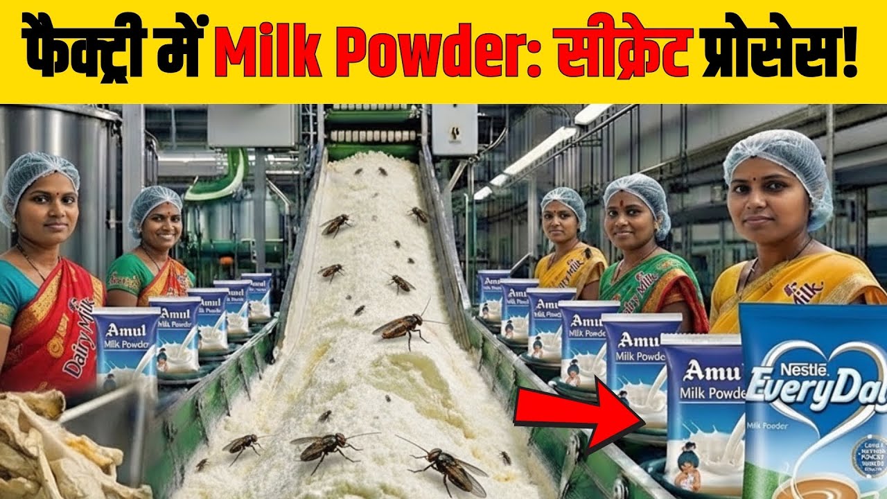 Milk Powder कैसे बनता है? | How Milk Powder Is Made (Factory Process)