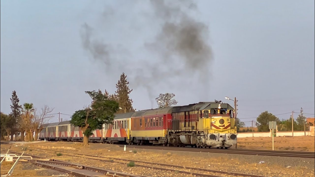Les Trains d'Oujda  -  Août 2024