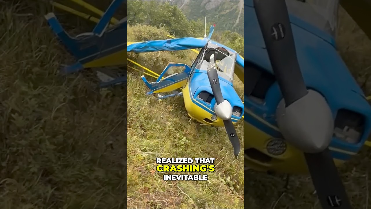Reliving a near death experience 