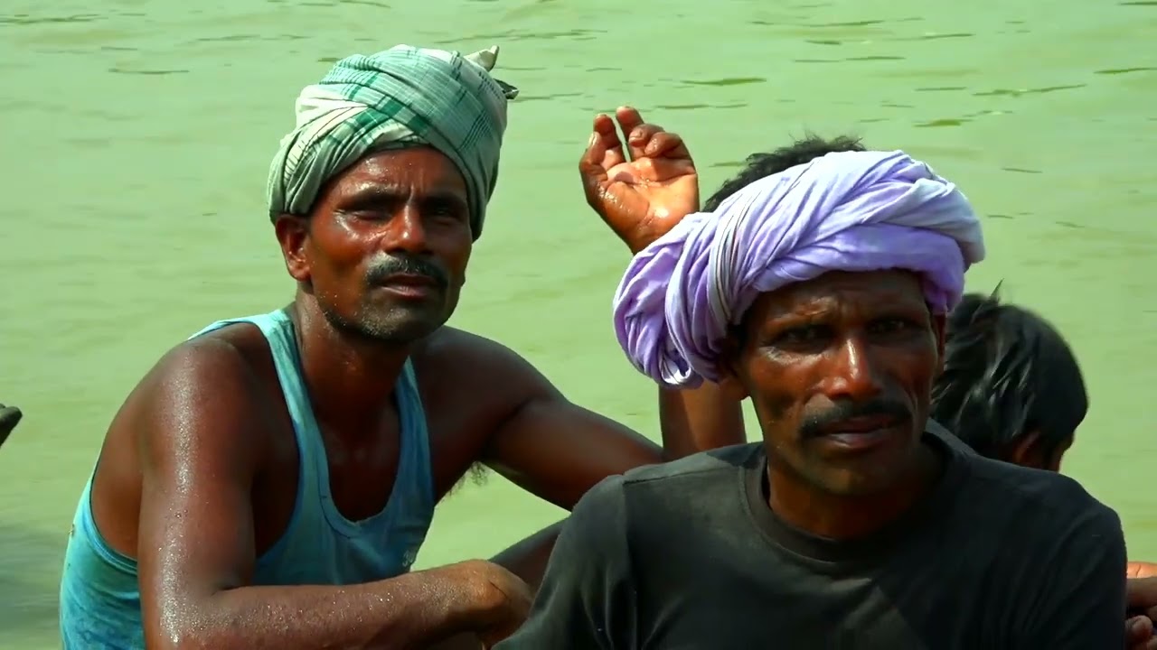 Kosi Mahananda Jaiv Vividdhta  short