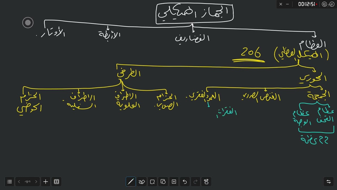 الجهاز الهيكلي ج2