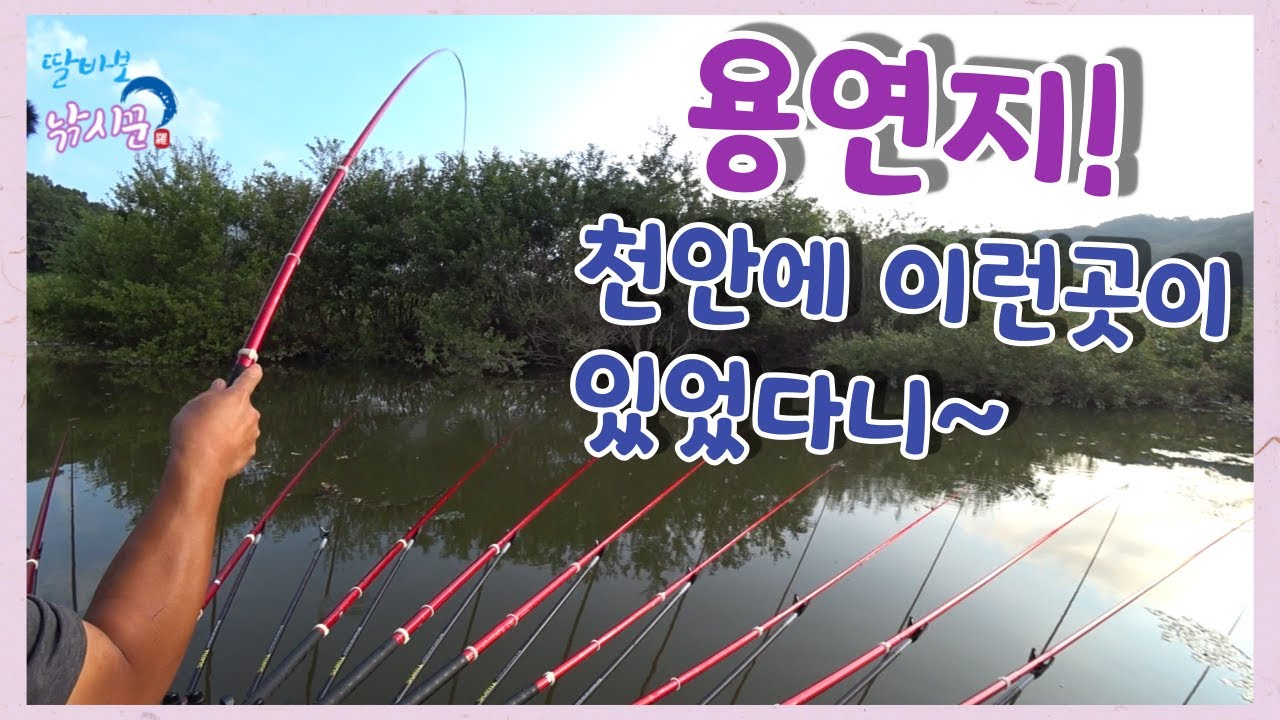 천안에 이런 저수지가 있었다고~? #용연저수지 #배스터 #한방터