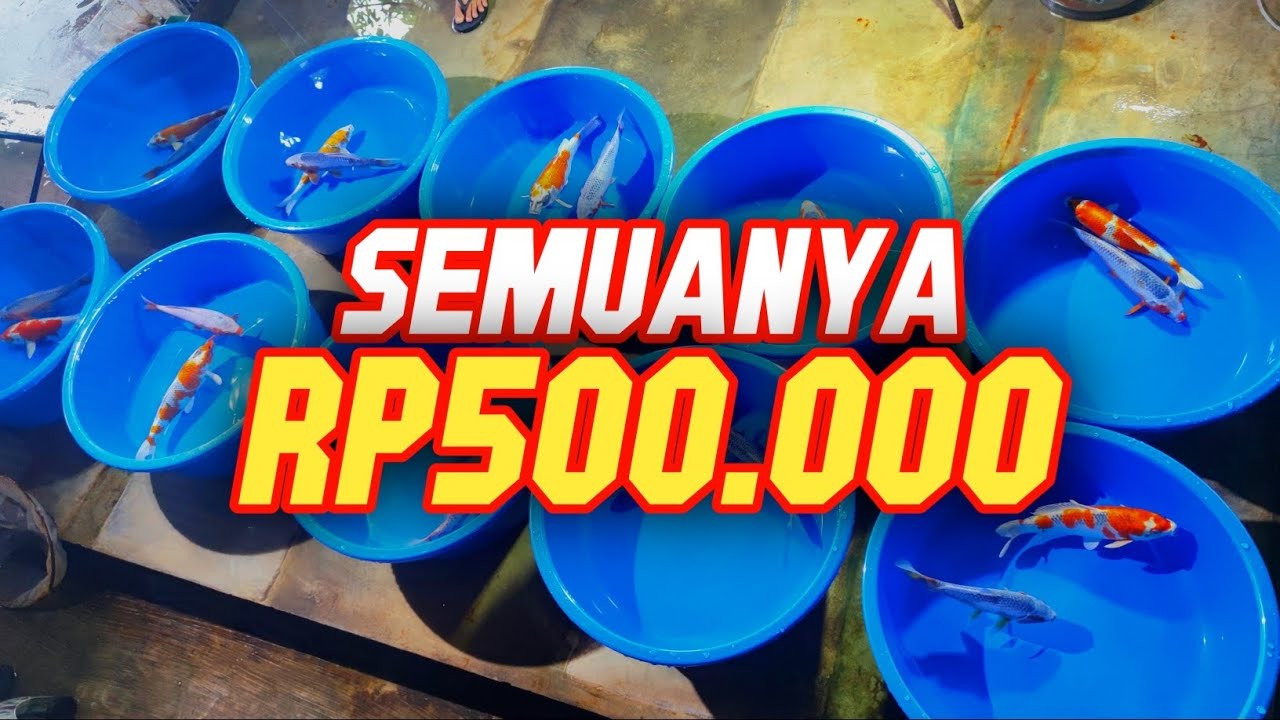 🔴SEMUANYA Rp500.000 🫵😉 | BURUAN SEBELUM KEHABISAN GUYS !!