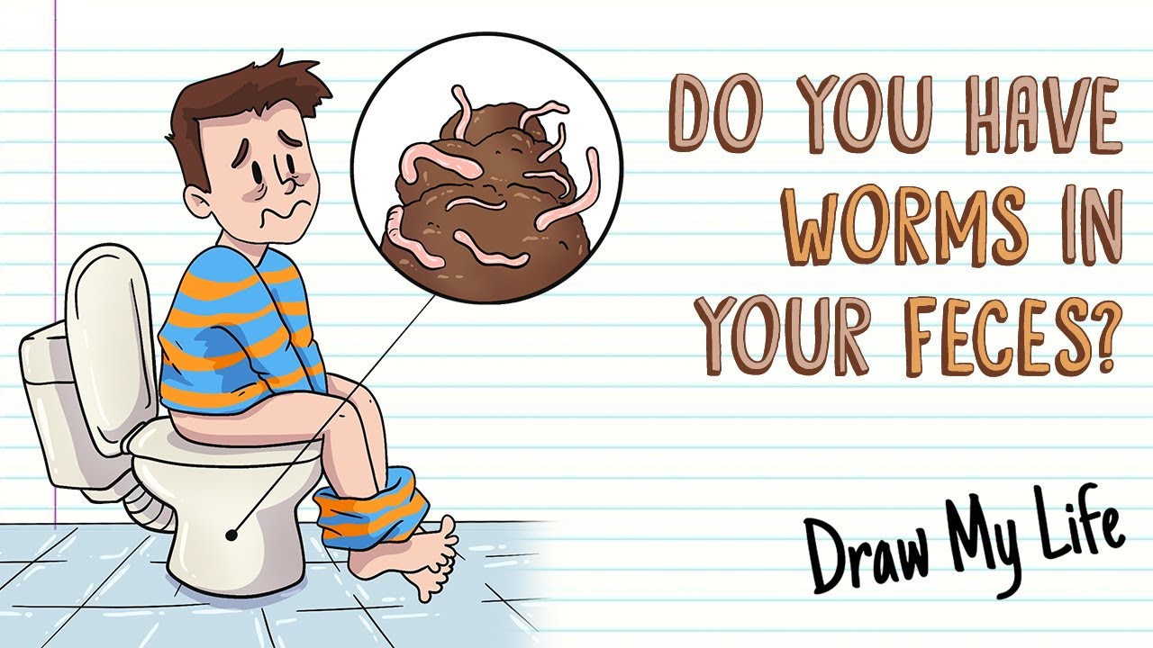 ГЛИСТЫ В НАШИХ ФЕКАЛИЯХ? | Draw My Life