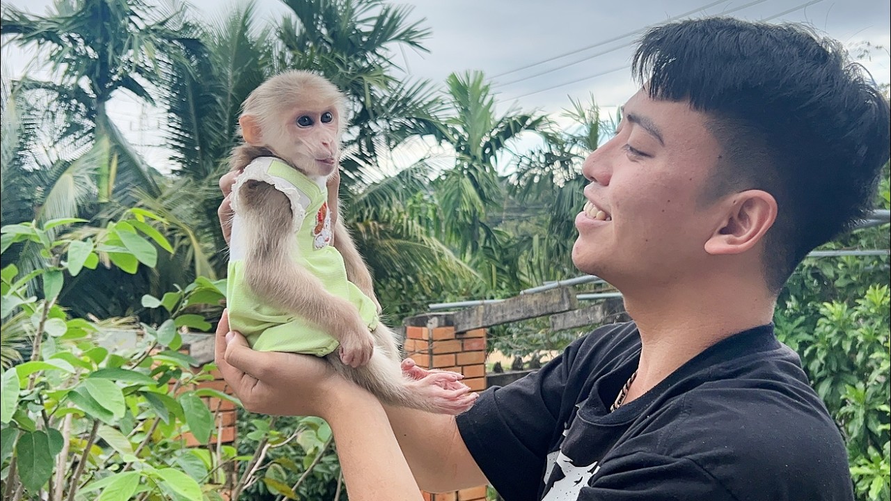 Story of Monkey Luk ! Precious footage of Dad meeting and caring for