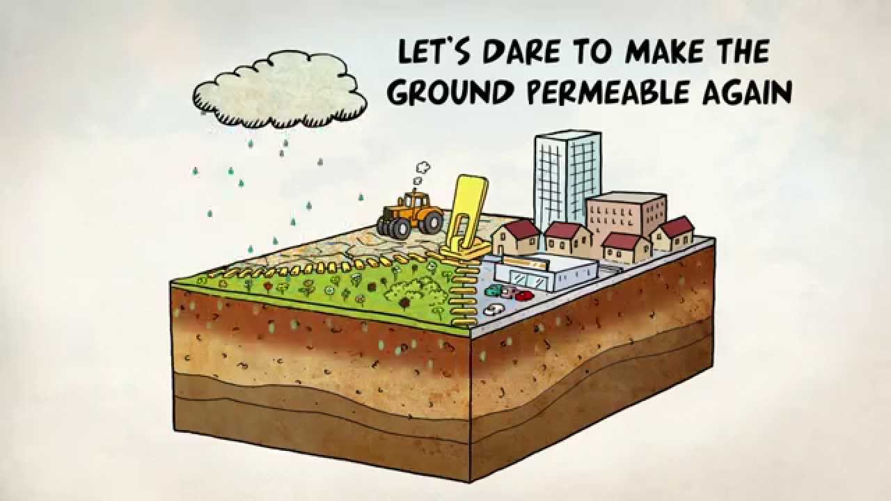 « Water and climate change : let's adapt ! »