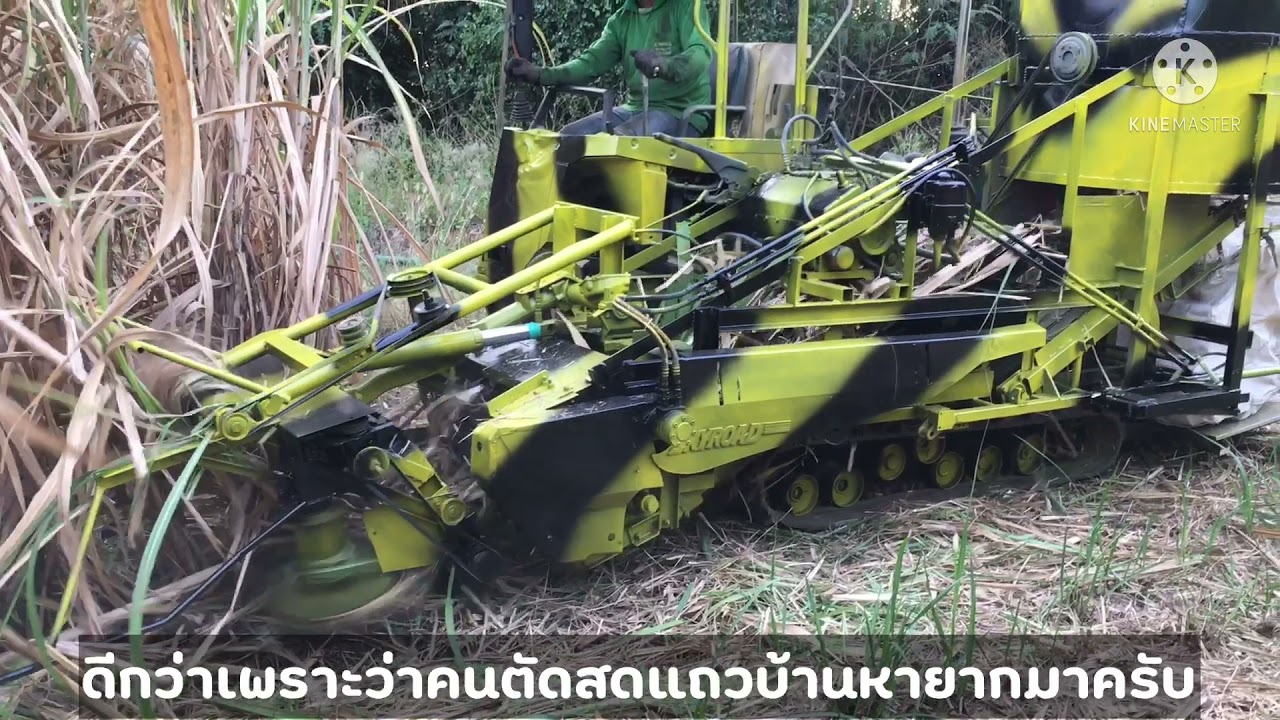 รถตัดอ้อยเวอร์ชั่น 2 (คลิปเต็ม) จะผ่านการทดลองไหม? มาลุ้นกันครับ!!