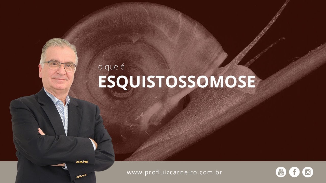 Esquistossomose ainda existe! | Prof. Dr. Luiz Carneiro CRM 22.761