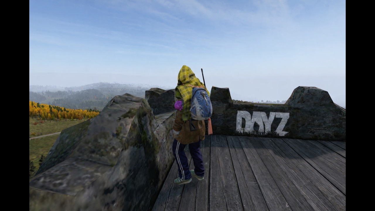 Why you shouldn't follow people in DayZ...