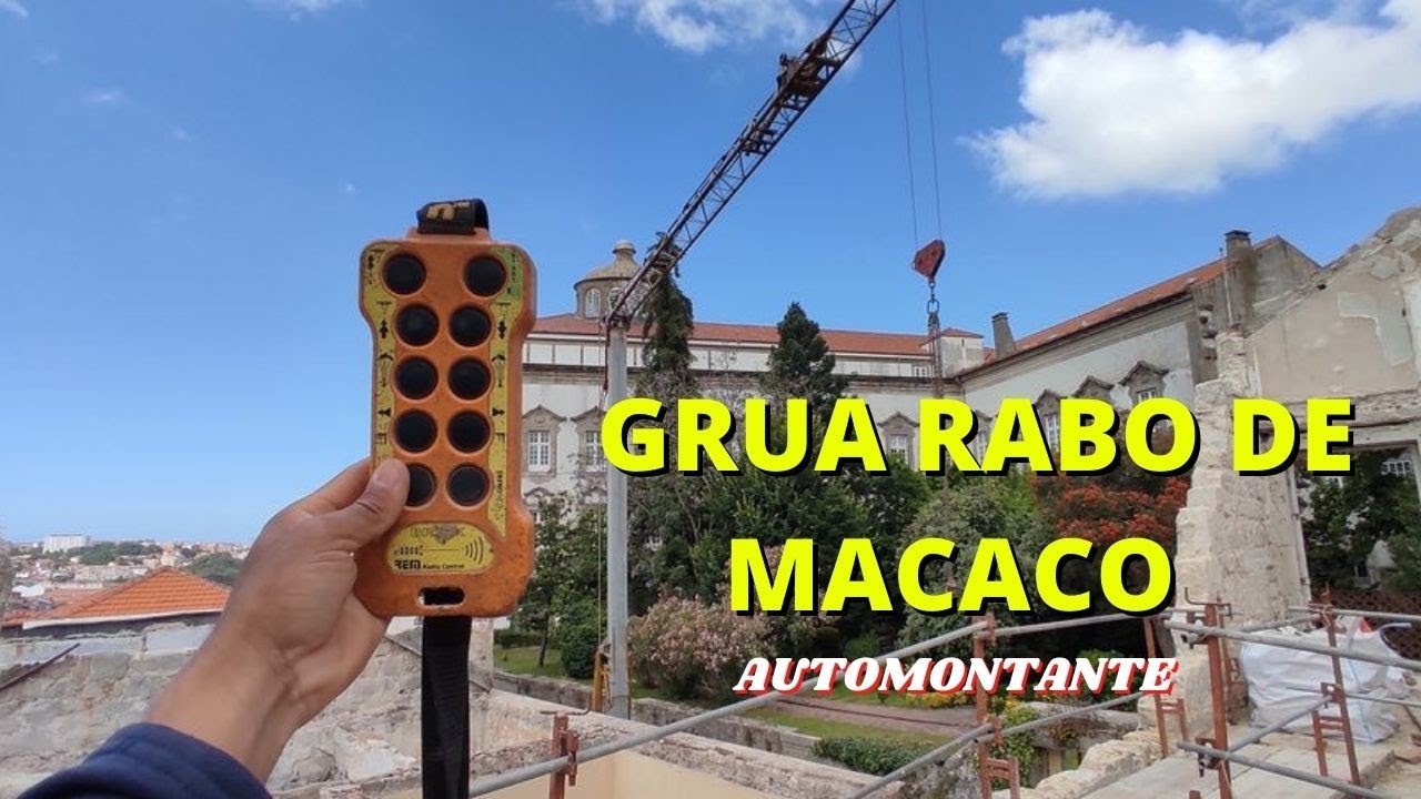 FUNÇÕES DO CONTROLE DA GRUA RABO DE MACACO 🐒 automontante